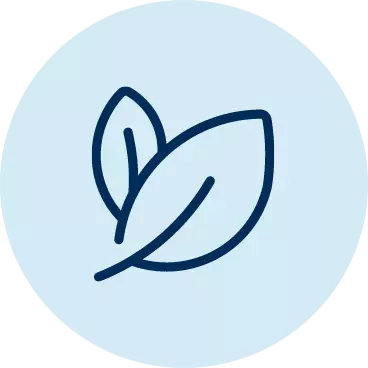 Leaf Icon