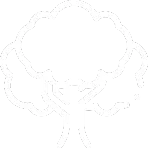 icon of a tree